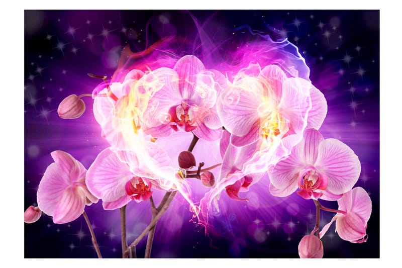 Fototapet Orchids In Flames 250x175 - Artgeist sp. z o. o. - Innredning - Veggdekorasjon - Tapeter - Fototapeter