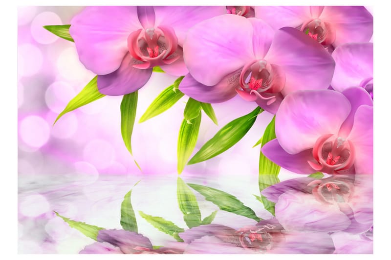 Fototapet Orchids In Lilac Colour 400x280 - Artgeist sp. z o. o. - Innredning - Veggdekorasjon - Tapeter - Fototapeter