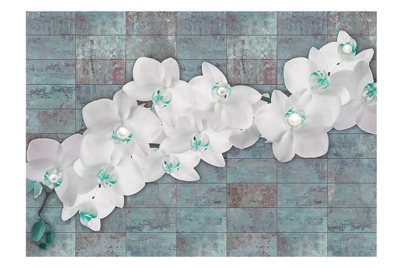Fototapet Orchids With Pearls 400x280 - Artgeist sp. z o. o. - Innredning - Veggdekorasjon - Tapeter - Fototapeter