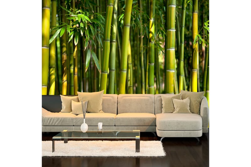 Fototapet Oriental Garden 250x175 - Artgeist sp. z o. o. - Innredning - Veggdekorasjon - Tapeter - Fototapeter