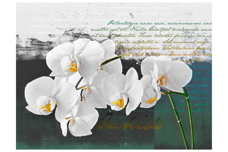 Fototapet Orkidé Poet Inspirasjon 350x270 - Artgeist sp. z o. o. - Innredning - Veggdekorasjon - Tapeter - Fototapeter