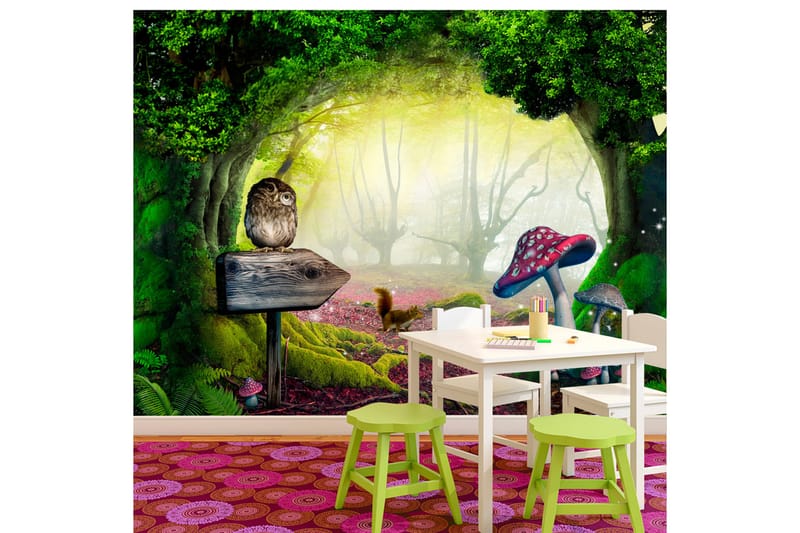 Fototapet Owlish Corner 200x140, Artgeist sp. z o. o.