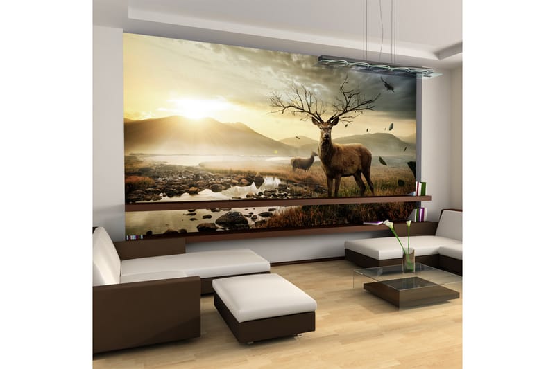 Fototapet Rådyr Med Fjellbekk 450x270 - Artgeist sp. z o. o. - Innredning - Veggdekorasjon - Tapeter - Fototapeter