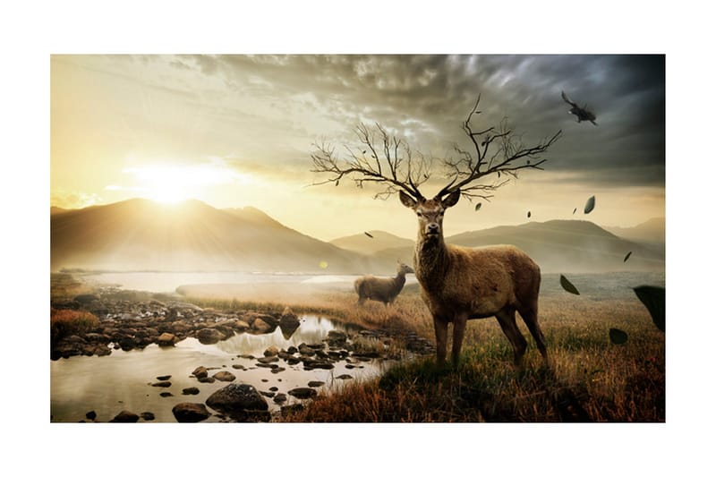 Fototapet Rådyr Med Fjellbekk 450x270 - Artgeist sp. z o. o. - Innredning - Veggdekorasjon - Tapeter - Fototapeter