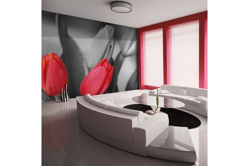 Fototapet Røde Tulipaner På Svart Og Hvit Bakgrunn 300x231, Artgeist sp. z o. o.