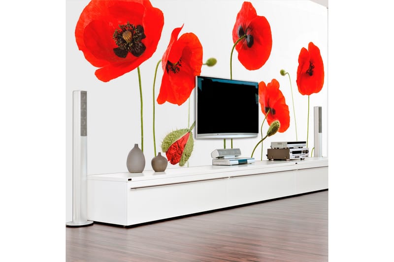 Fototapet Røde Vallmuer Sommertid Reminisens 350x270, Artgeist sp. z o. o.