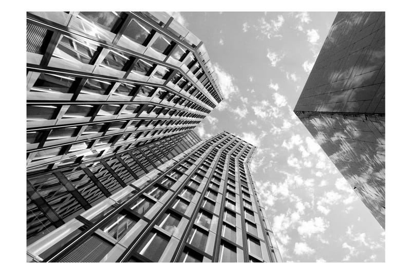 Fototapet Reach For The Sky 100x70 - Artgeist sp. z o. o. - Innredning - Veggdekorasjon - Tapeter - Fototapeter