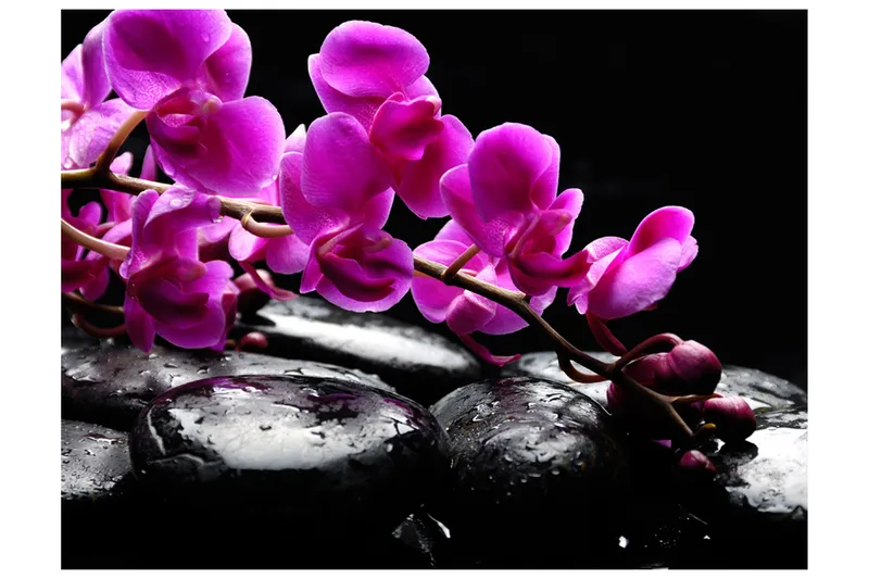 Fototapet Relaxing While Orchid And Stones 200x154, Artgeist sp. z o. o.