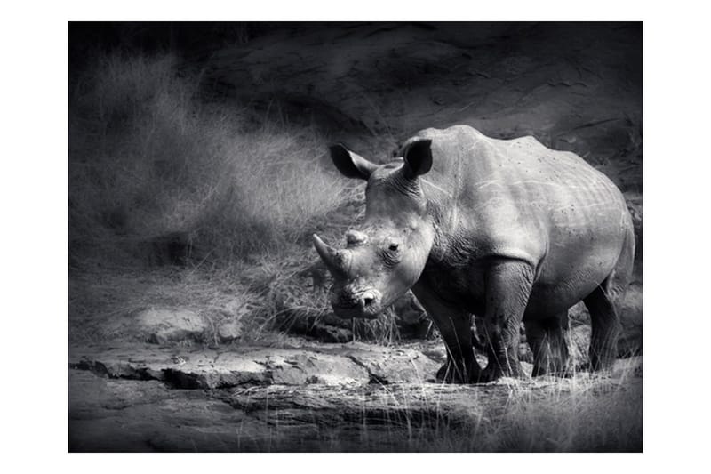 Fototapet Rhino Lost In Dreams 350x270 - Artgeist sp. z o. o. - Innredning - Veggdekorasjon - Tapeter - Fototapeter