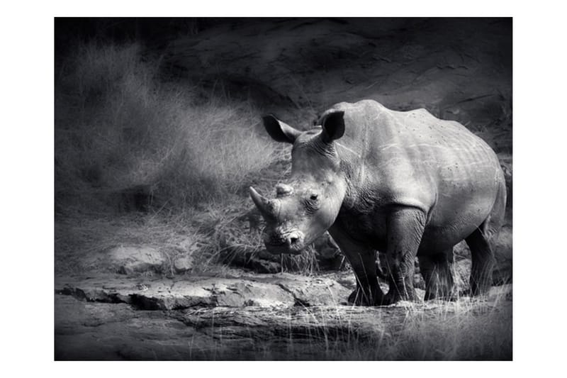 Fototapet Rhino Lost In Dreams 350x270 - Artgeist sp. z o. o. - Innredning - Veggdekorasjon - Tapeter - Fototapeter