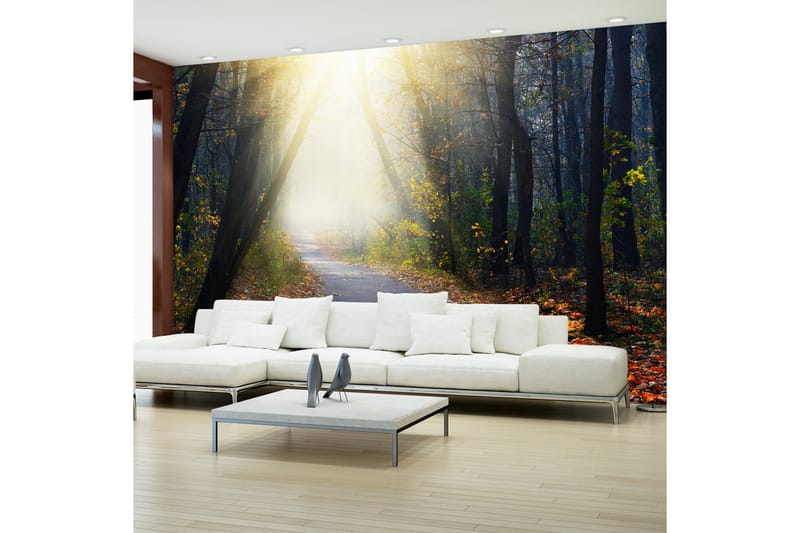 Fototapet Road Through The Forest 300x210 - Artgeist sp. z o. o. - Innredning - Veggdekorasjon - Tapeter - Fototapeter