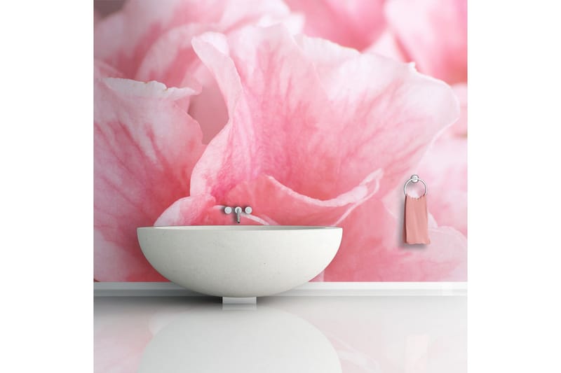 Fototapet Rosa Azalea Blomster 300x231 - Artgeist sp. z o. o. - Innredning - Veggdekorasjon - Tapeter - Fototapeter