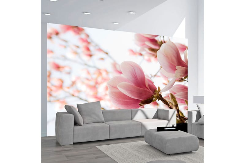 Fototapet Rosa Magnolia 250x193, Artgeist sp. z o. o.
