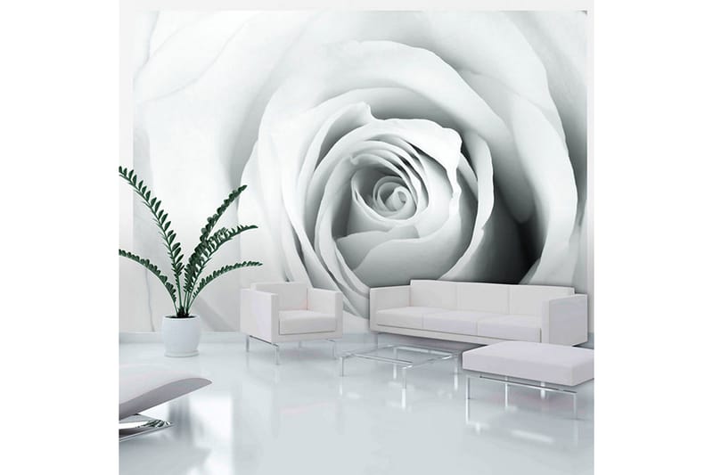 Fototapet Rose Charade 250x175 - Artgeist sp. z o. o. - Innredning - Veggdekorasjon - Tapeter - Fototapeter