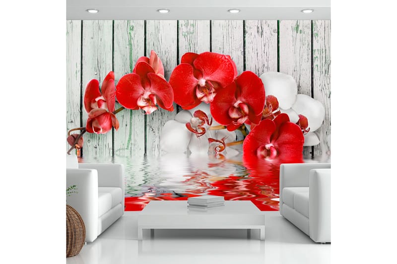 Fototapet Ruby Orchid 400x280 - Artgeist sp. z o. o. - Innredning - Veggdekorasjon - Tapeter - Fototapeter