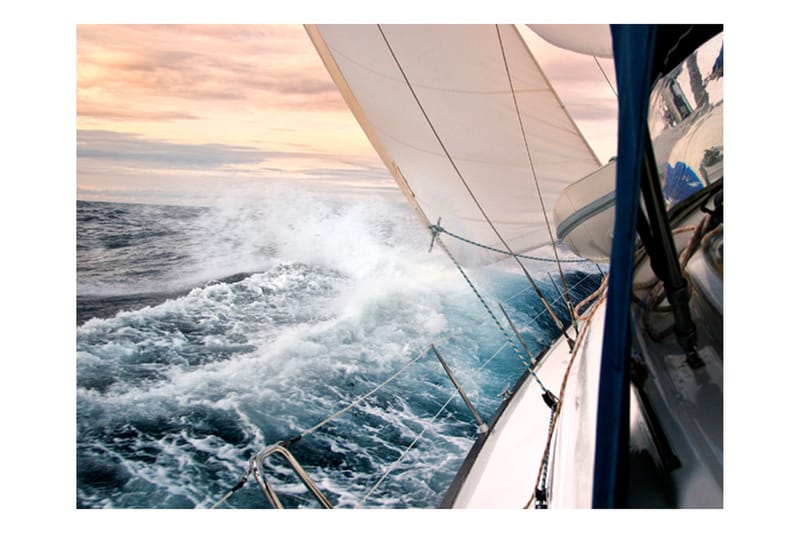 Fototapet Sailing 250x193 - Artgeist sp. z o. o. - Innredning - Veggdekorasjon - Tapeter - Fototapeter
