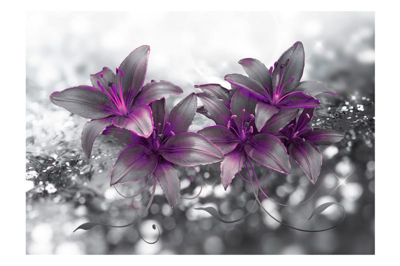 Fototapet Secret Of The Lily 250x175 - Artgeist sp. z o. o. - Innredning - Veggdekorasjon - Tapeter - Fototapeter