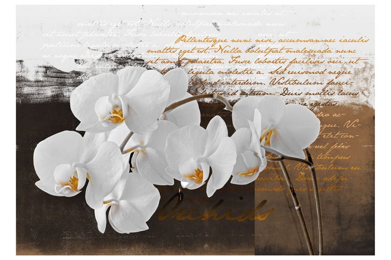 Fototapet Sentimental Thoughts 400x280 - Artgeist sp. z o. o. - Innredning - Veggdekorasjon - Tapeter - Fototapeter