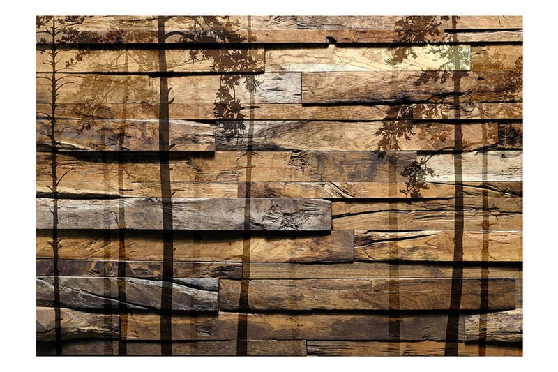 Fototapet Shadow Of Trees 100x70 - Artgeist sp. z o. o. - Innredning - Veggdekorasjon - Tapeter - Fototapeter