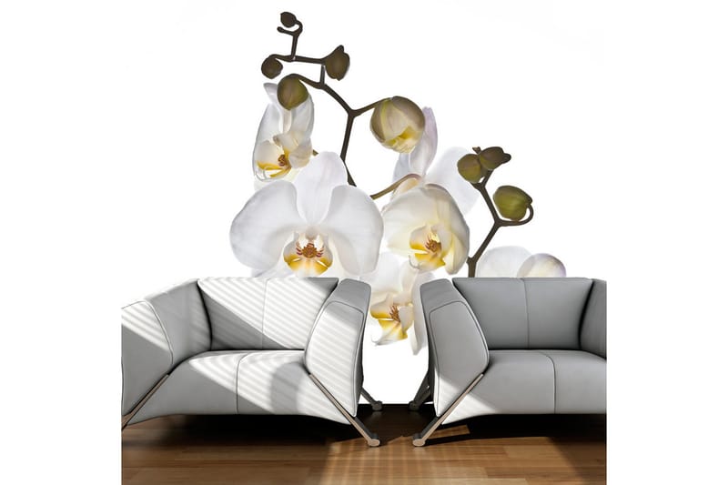 Fototapet Shyness 300x231, Artgeist sp. z o. o.