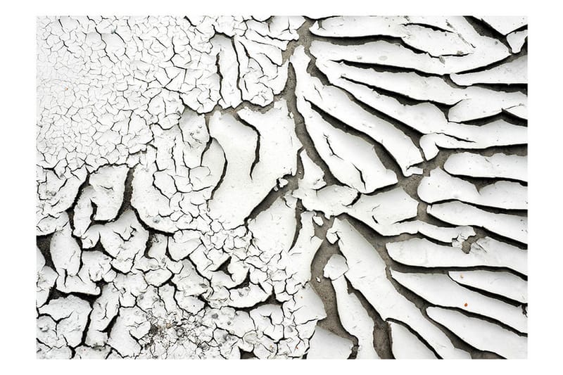 Fototapet Signs Of The Time 400x280 - Artgeist sp. z o. o. - Innredning - Veggdekorasjon - Tapeter - Fototapeter