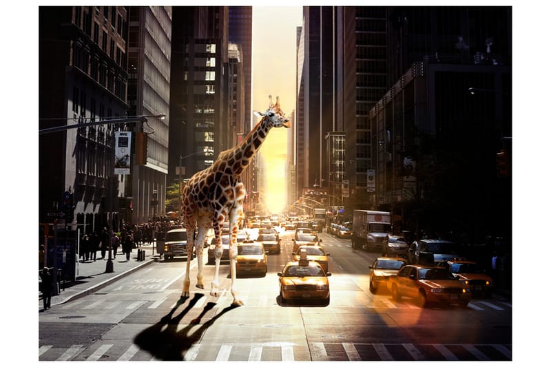 Fototapet Sjiraff i Den Store Byen 350x270, Artgeist sp. z o. o.