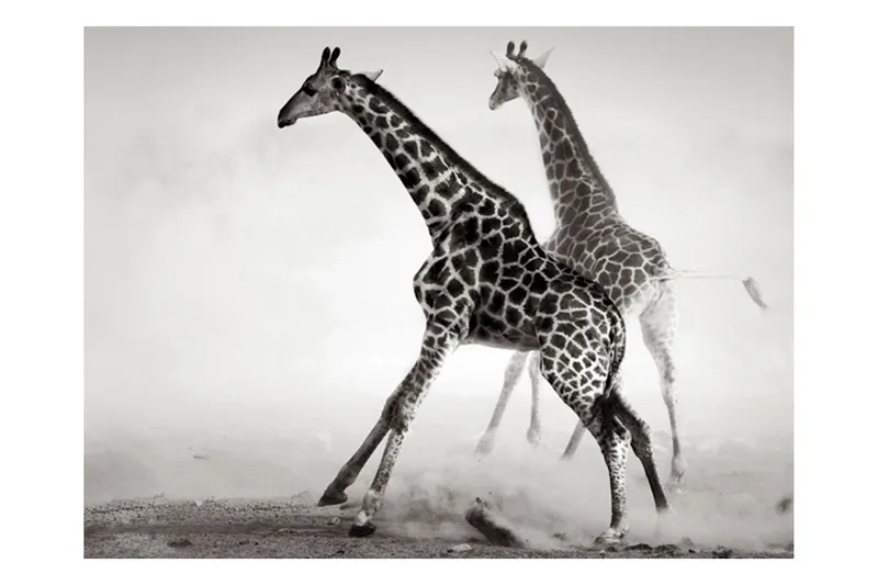 Fototapet Sjiraffer 300x231 - Artgeist sp. z o. o. - Innredning - Veggdekorasjon - Tapeter - Fototapeter