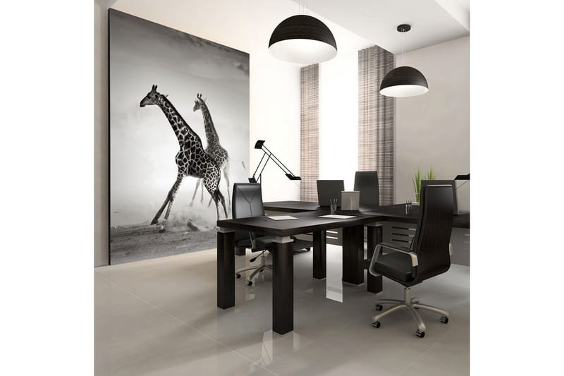 Fototapet Sjiraffer 300x231, Artgeist sp. z o. o.