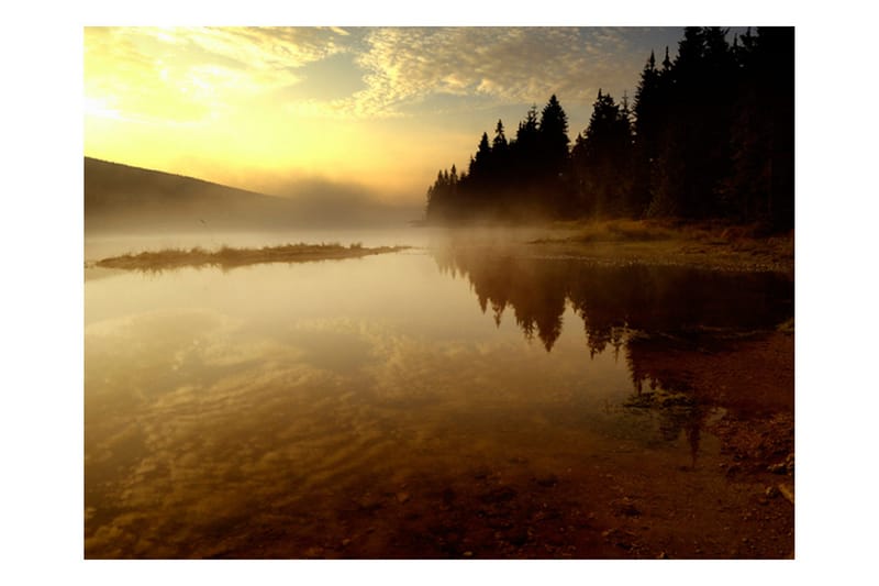 Fototapet Skog Og Sjø 350x270 - Artgeist sp. z o. o. - Innredning - Veggdekorasjon - Tapeter - Fototapeter