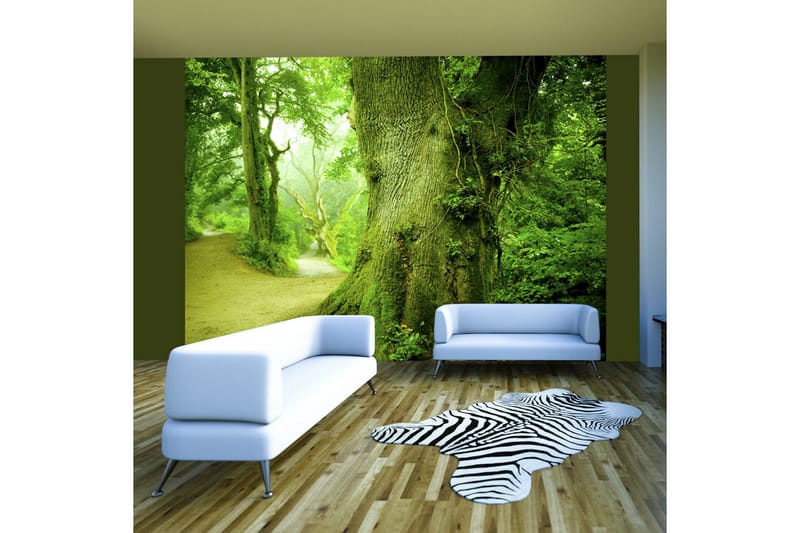 Fototapet Skog Veien 350x270 - Artgeist sp. z o. o. - Innredning - Veggdekorasjon - Tapeter - Fototapeter