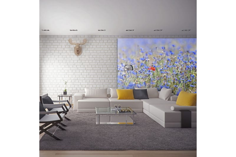 Fototapet Sky-Colored Meadow Cornflowers 350x270 - Artgeist sp. z o. o. - Innredning - Veggdekorasjon - Tapeter - Fototapeter