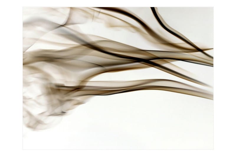 Fototapet Smoke Abstract 250x193 - Artgeist sp. z o. o. - Innredning - Veggdekorasjon - Tapeter - Fototapeter