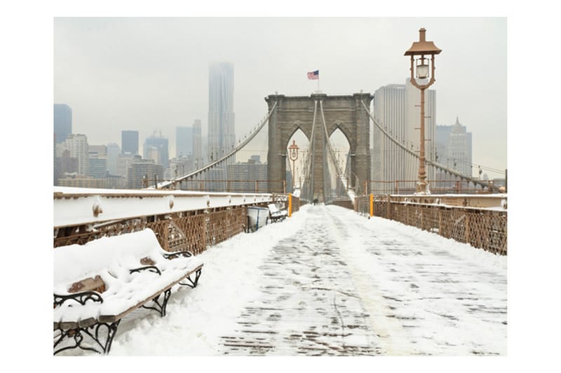 Fototapet Snowy Bridge New York 200x154 - Artgeist sp. z o. o. - Innredning - Veggdekorasjon - Tapeter - Fototapeter