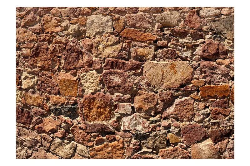 Fototapet Solar Armor 300x210 - Artgeist sp. z o. o. - Innredning - Veggdekorasjon - Tapeter - Fototapeter