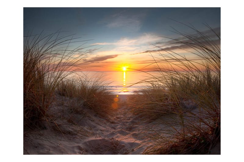 Fototapet Solnedgang Over Atlanten 400x309 - Artgeist sp. z o. o. - Innredning - Veggdekorasjon - Tapeter - Fototapeter