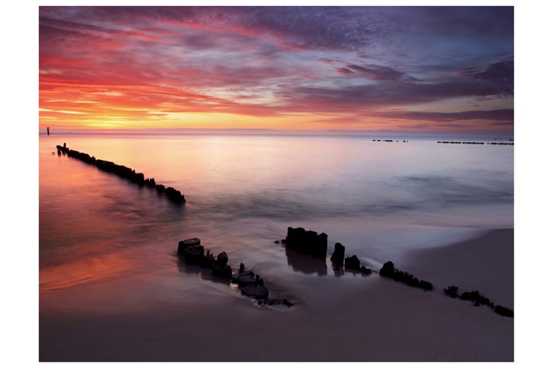 Fototapet Soluppgang Over Østersjøen 400x309, Artgeist sp. z o. o.