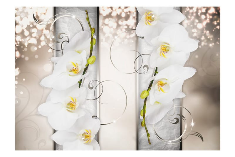 Fototapet Sophisticated Duet 200x140 - Artgeist sp. z o. o. - Innredning - Veggdekorasjon - Tapeter - Fototapeter