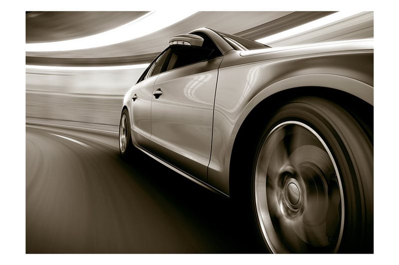 Fototapet Speed And Elegance 250x175 - Artgeist sp. z o. o. - Innredning - Veggdekorasjon - Tapeter - Fototapeter