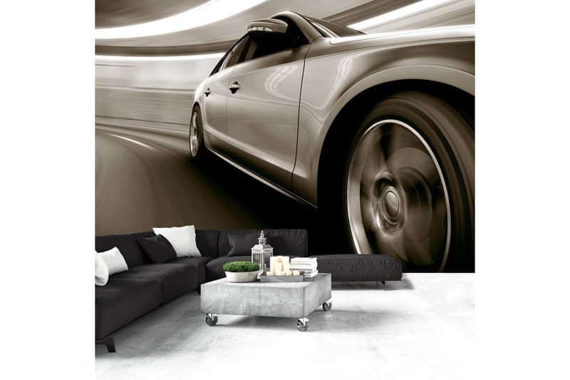 Fototapet Speed And Elegance 250x175 - Artgeist sp. z o. o. - Innredning - Veggdekorasjon - Tapeter - Fototapeter