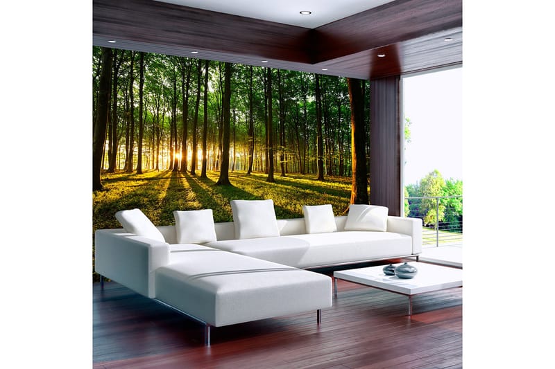 Fototapet Spring Morning In The Forest 350x245 - Artgeist sp. z o. o. - Innredning - Veggdekorasjon - Tapeter - Fototapeter