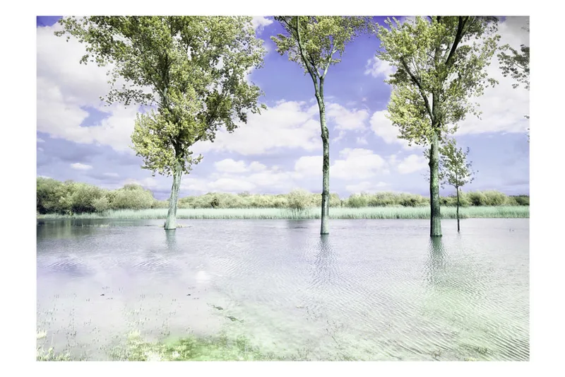 Fototapet Spring Scenery 350x245 - Artgeist sp. z o. o. - Innredning - Veggdekorasjon - Tapeter - Fototapeter