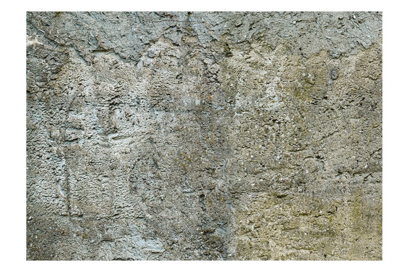Fototapet Stony Barrier 400x280 - Artgeist sp. z o. o. - Innredning - Veggdekorasjon - Tapeter - Fototapeter
