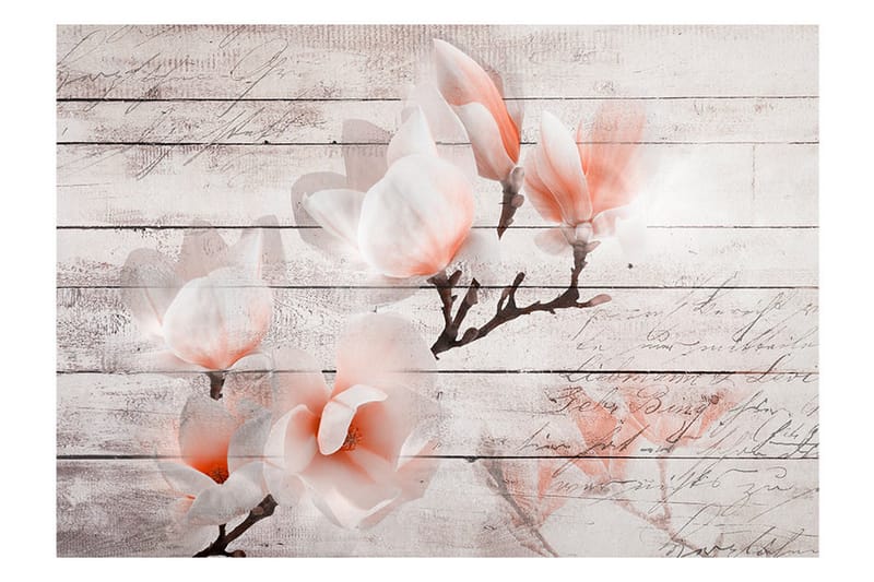 Fototapet Subtlety Of The Magnolia 150x105 - Artgeist sp. z o. o. - Innredning - Veggdekorasjon - Tapeter - Fototapeter