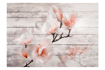 Fototapet Subtlety Of The Magnolia 200x140 - Artgeist sp. z o. o. - Innredning - Veggdekorasjon - Tapeter - Fototapeter