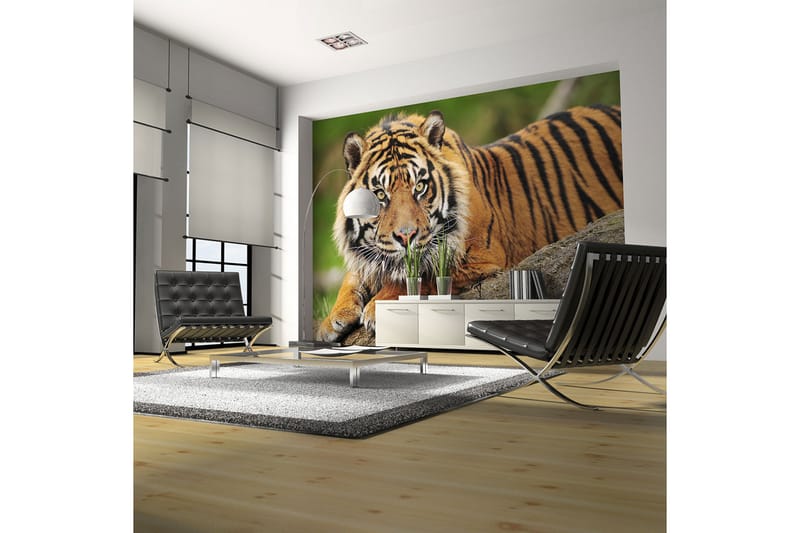 Fototapet Sumatra Tiger 350x270 - Artgeist sp. z o. o. - Innredning - Veggdekorasjon - Tapeter - Fototapeter