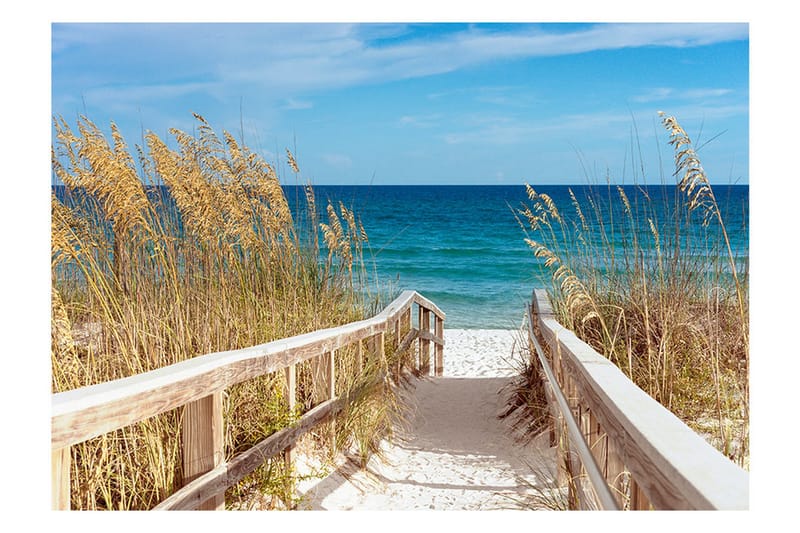 Fototapet Summer At The Seaside 200x140 - Artgeist sp. z o. o. - Innredning - Veggdekorasjon - Tapeter - Fototapeter