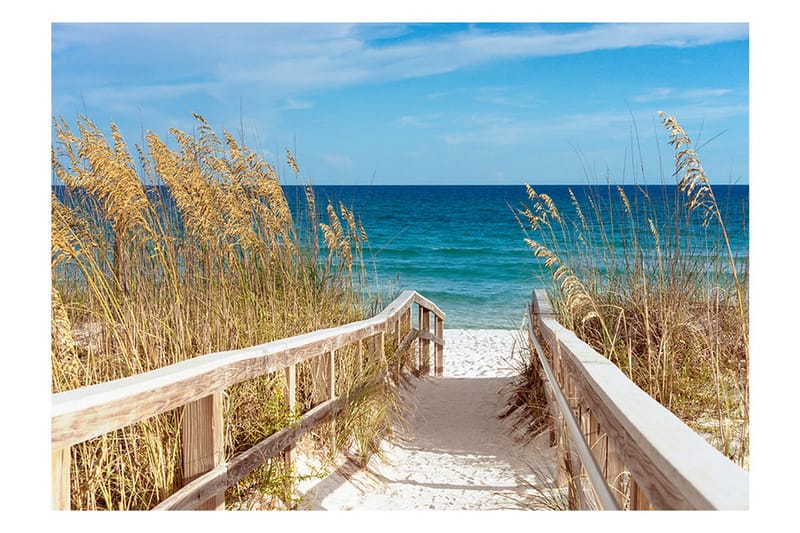 Fototapet Summer At The Seaside 300x210 - Artgeist sp. z o. o. - Innredning - Veggdekorasjon - Tapeter - Fototapeter