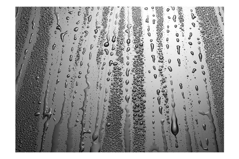 Fototapet Summer Drizzle 300x210 - Artgeist sp. z o. o. - Innredning - Veggdekorasjon - Tapeter - Fototapeter