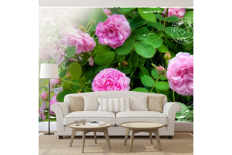Fototapet Summer Garden 250x175 - Artgeist sp. z o. o. - Innredning - Veggdekorasjon - Tapeter - Fototapeter