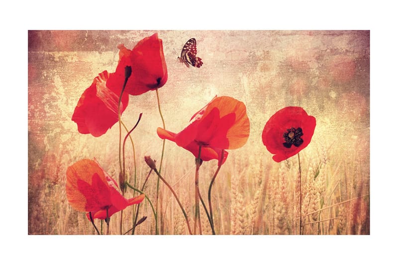 Fototapet Summer Is Coming 450x270, Artgeist sp. z o. o.